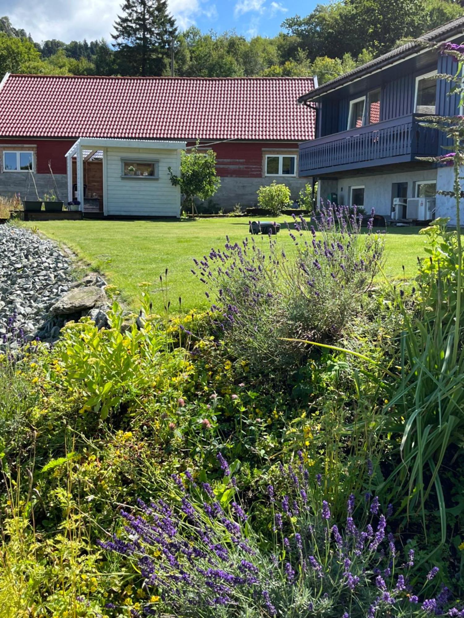 Apartamento Kjolevik Jørpeland Exterior foto